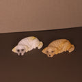 Dog Coverminder
